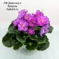 ЛФ-Девочка с Веером (Федосеева)